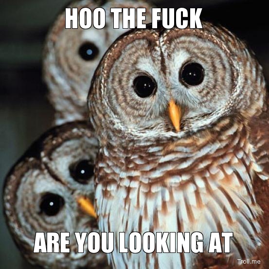 hoo-the-fuck-are-you-looking-at