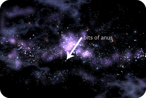 anus